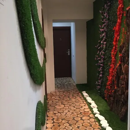 게스트하우스 Paradise 3*