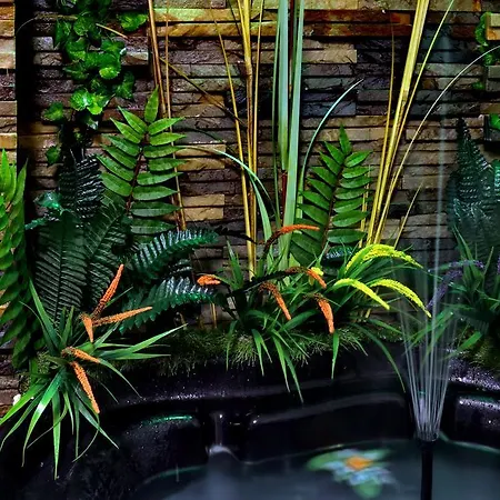 Affittacamere Paradise